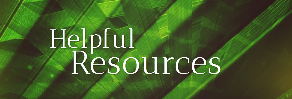 Palm Sunday Ministry Website Banner