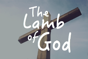 The Lamb of God